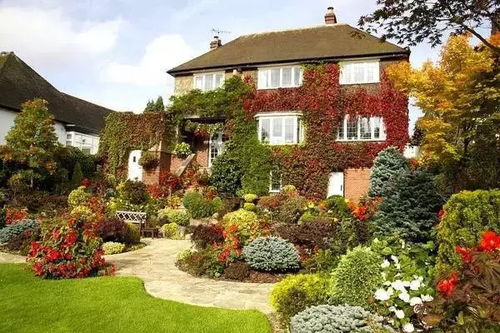 园林植物景观设计之配置方法微教程